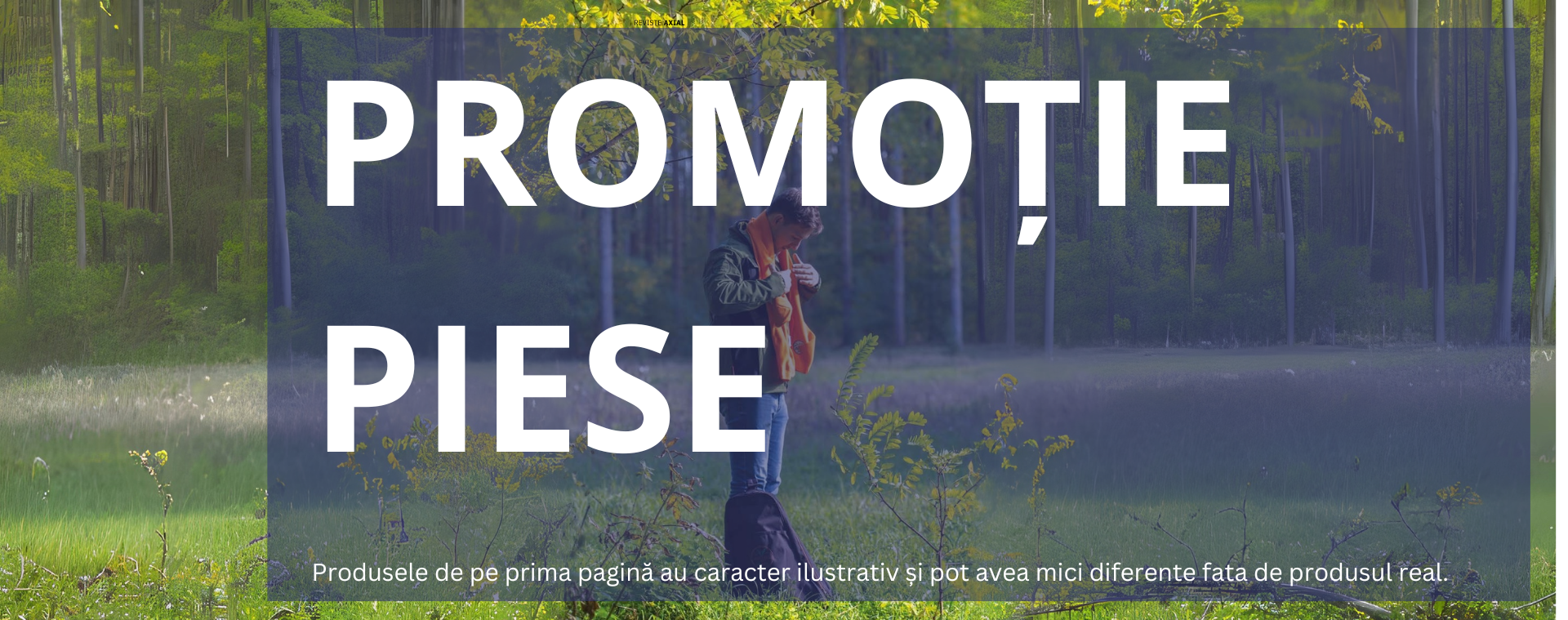 Reviste promo